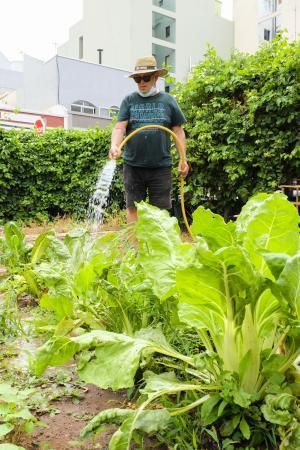 Reabren los huertos urbanos de la ciudad