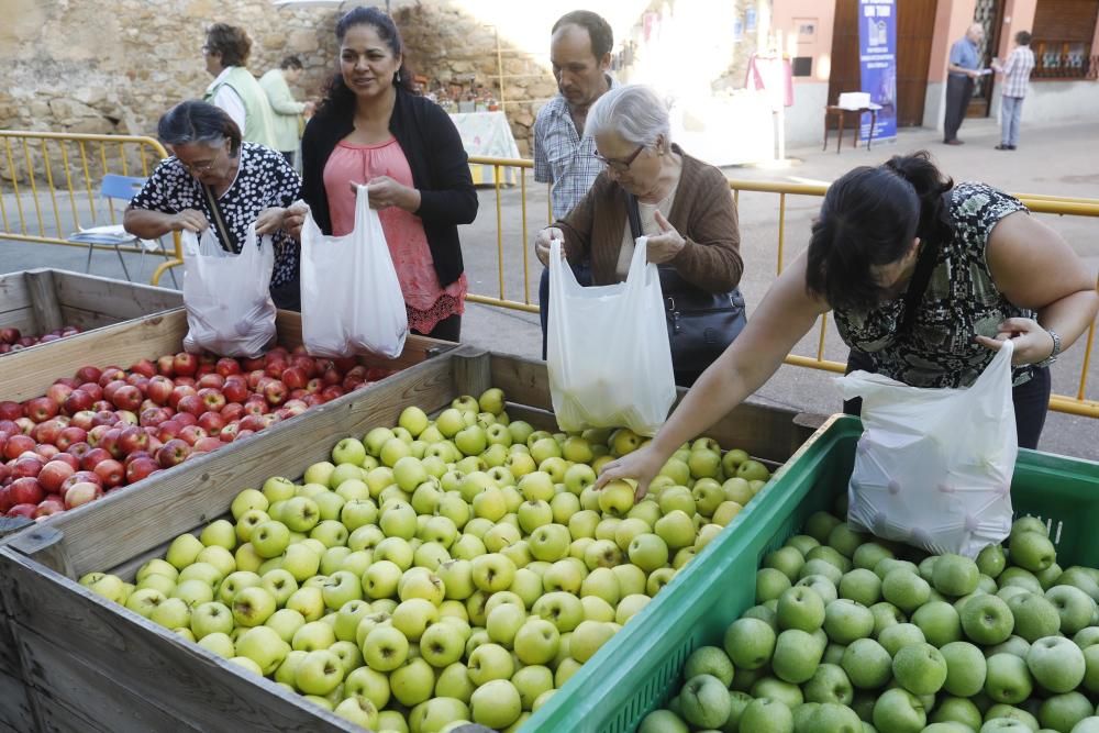 Onzena edició de la fira i mercat de la Poma d'Ullà