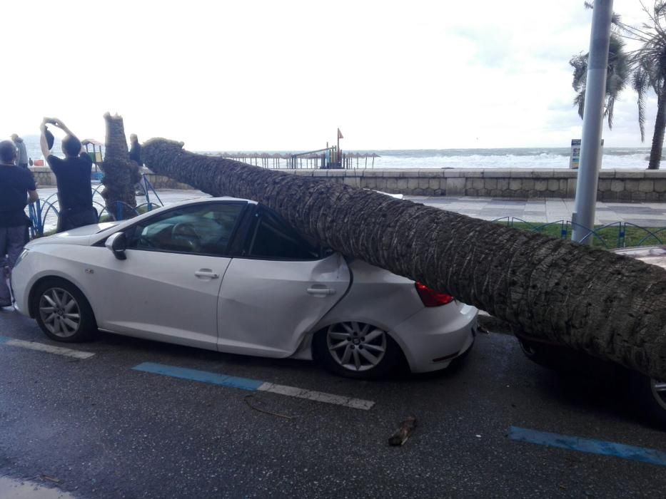 Temporal de viento y lluvia en Málaga