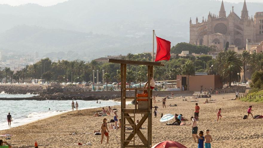 Truyol acusa al anterior gobierno del PP de haber negado inversiones a Palma para evitar vertidos a la bahía