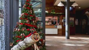 Tió de Nadal a la Vall de Núria.