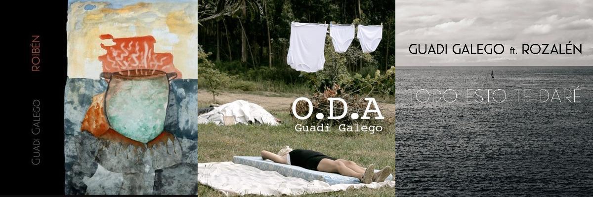 Varios discos recientes de Guadi Galego