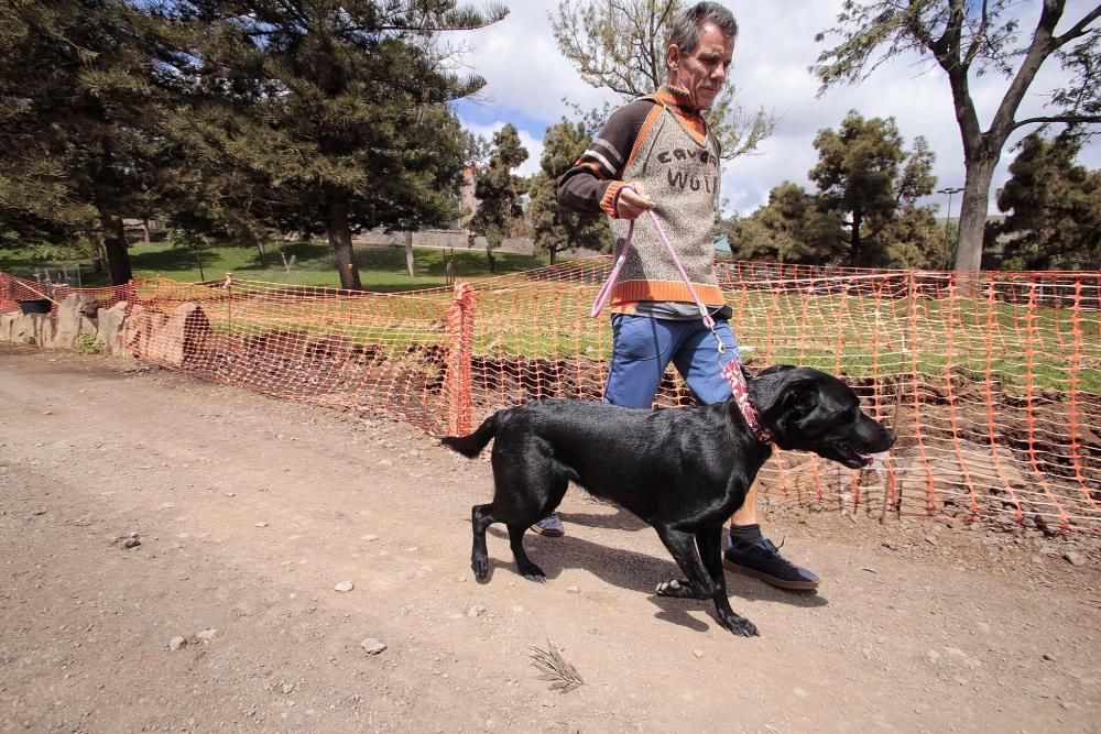 Reportaje: Gente con mascotas