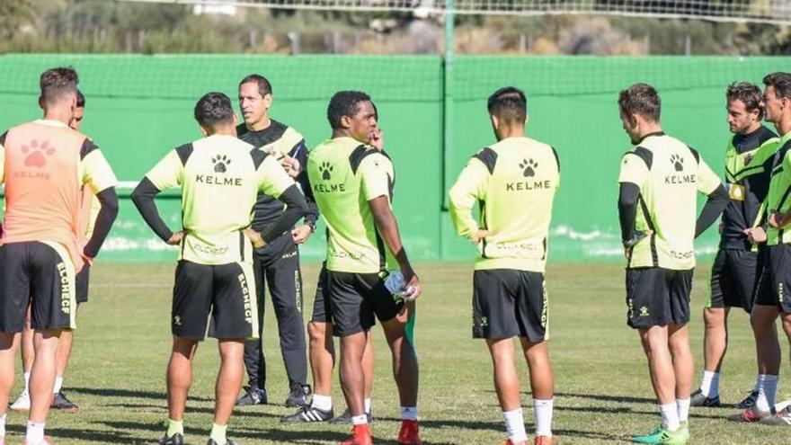 El Elche destituye a Vicente Mir  pese a ser segundos en la tabla