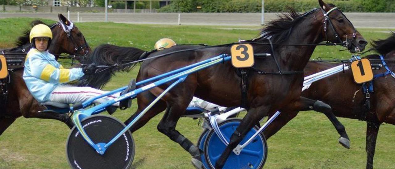 Trébol, dirigido en carrera por Biel Pou, en su actuación del 15 de mayo en la ´Copenhagen Cup´ de Charlottenlund, en Dinamarca.