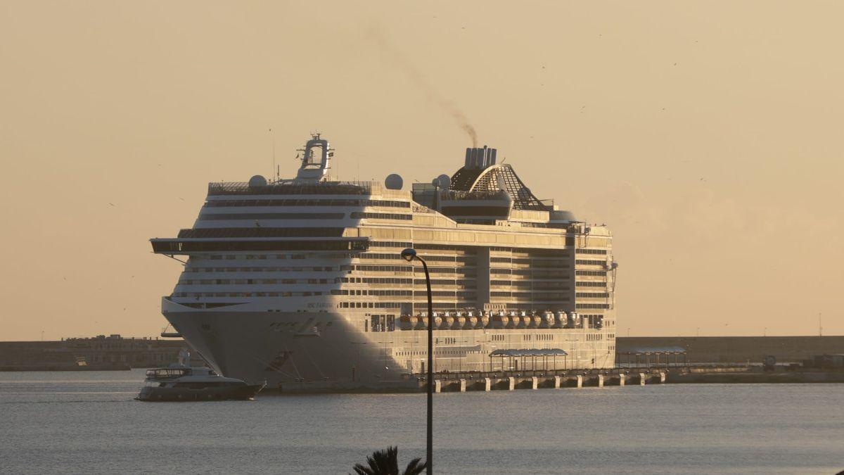 Das Kreuzfahrtschiff MSC Fantasia am Donnerstag (13.1.) im Hafen von Palma