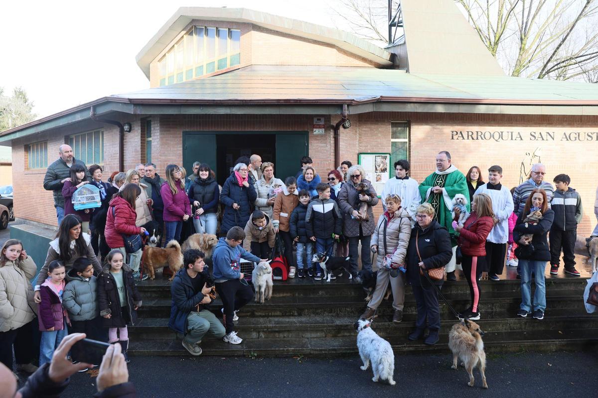 La bendición de animales en La Magdalena, en imágenes