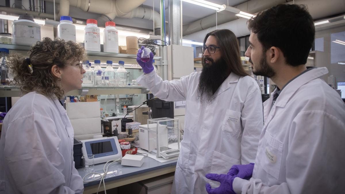 Varios investigadores valencianos del Instituto de Ciencia Molecular