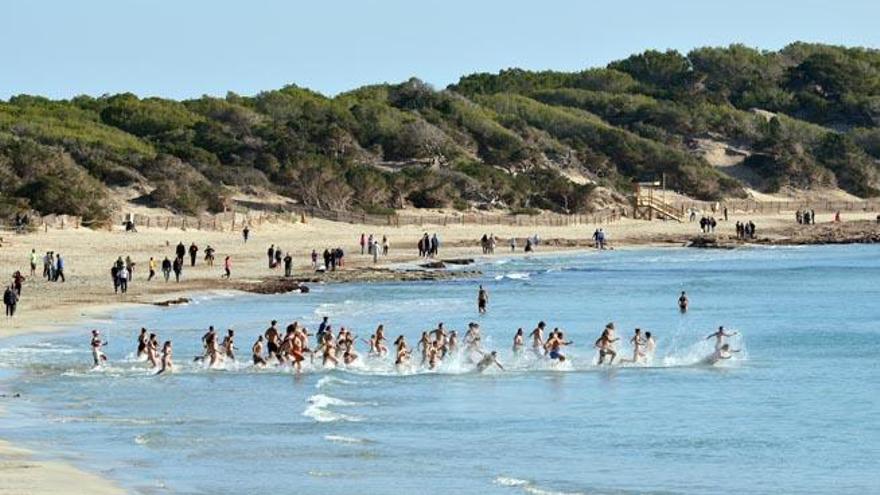 Como cada año, medio centenar de holandeses residentes en las Pitiusas se echaron al agua en ses Salines sobre las 13 horas.