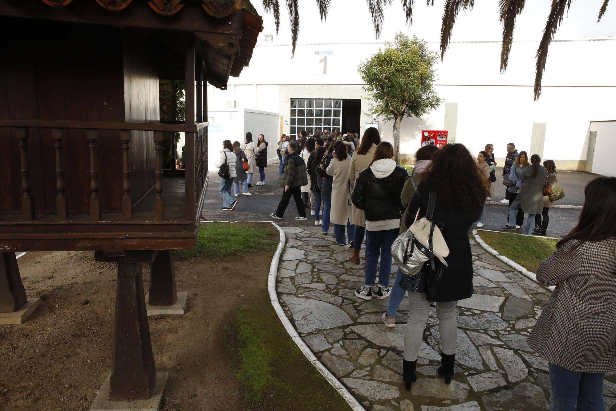 Miles de personas participan en la macrooposición de la sanidad pública asturiana.