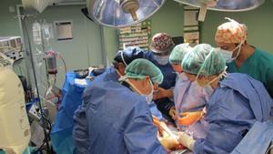 Espanya torna a superar el 2025 els 6.300 trasplantaments d’òrgans