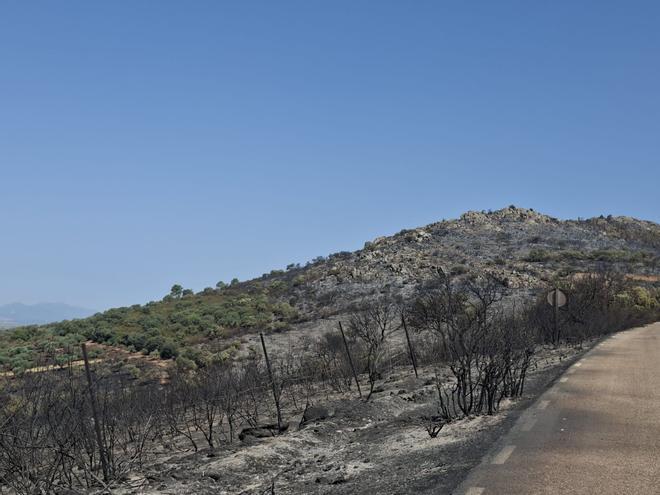 Fotogalería | Las consecuencias del incendio de Herrera del Duque, en imágenes