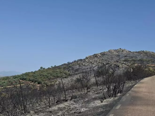 Fotogalería | Las consecuencias del incendio de Herrera del Duque, en imágenes