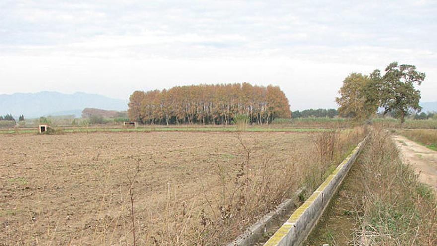 Un dels canals de reg de la conca de la Muga, completament sec.