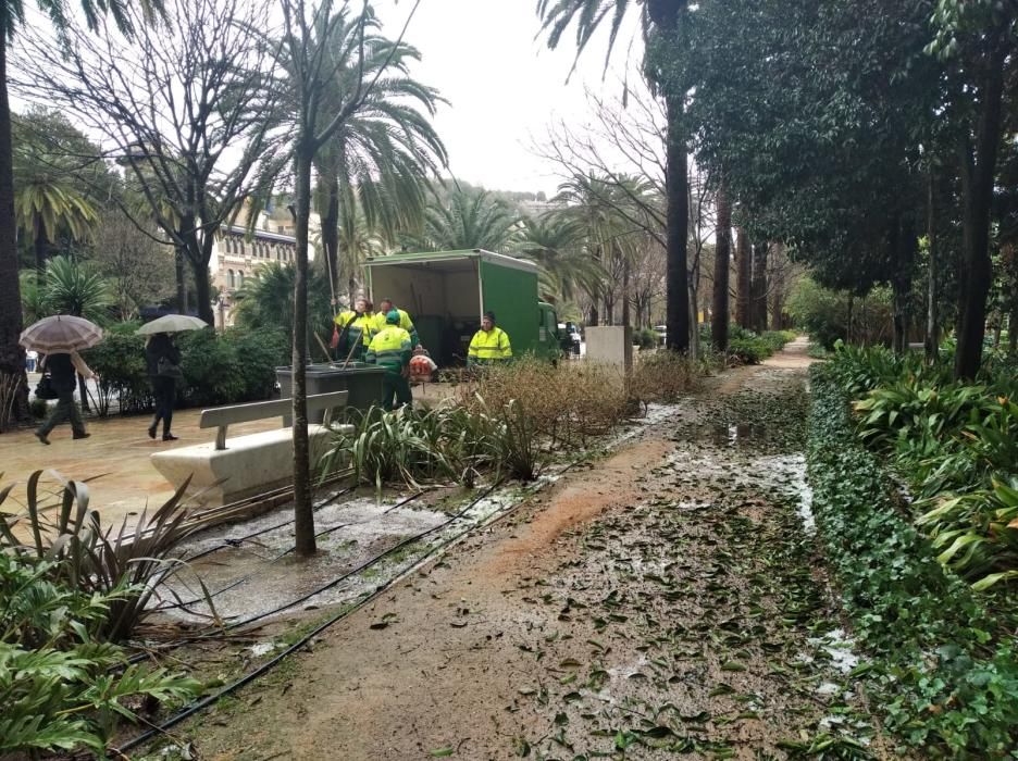 Daños en el Parque de la granizada.