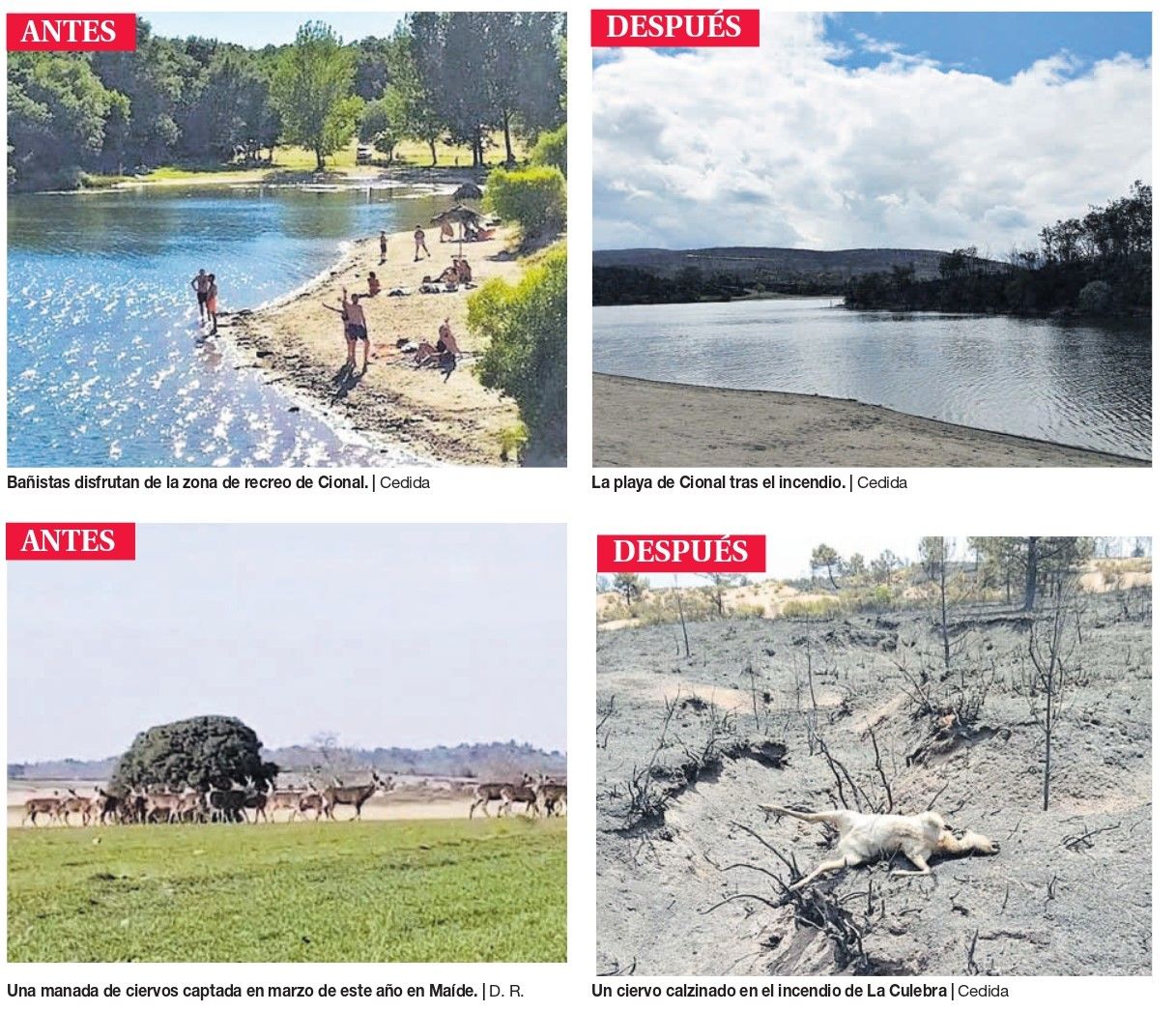 El antes y el después del incendio.