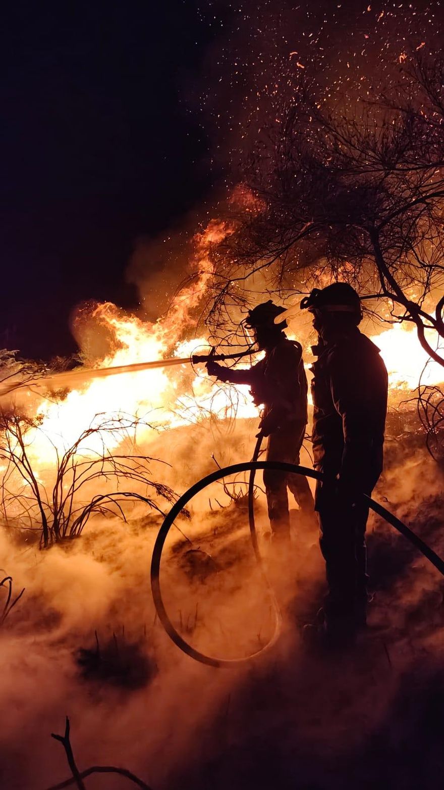 Incendio de Mondariz, declarado en la noiche del lunes al martes