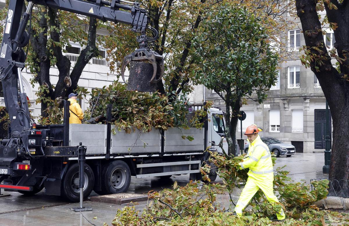 Árboles caídos por el temporal en la Alameda de Vigo