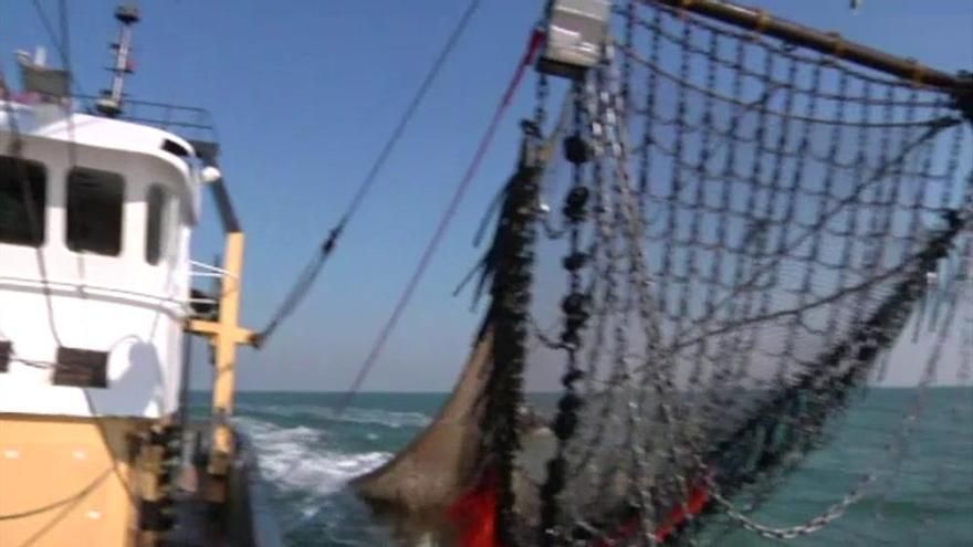La justicia europea excluye al Sáhara del acuerdo pesquero con Marruecos