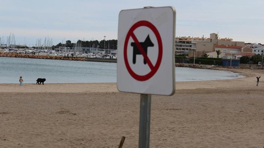 La platja de Riells amb un rètol explícit.