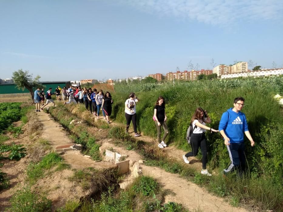 Caminando por la huerta