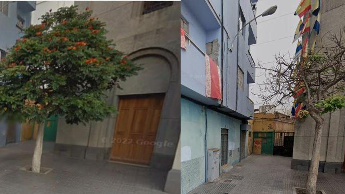 El tulipanero de la iglesia de La Luz en 2012 y 2021.