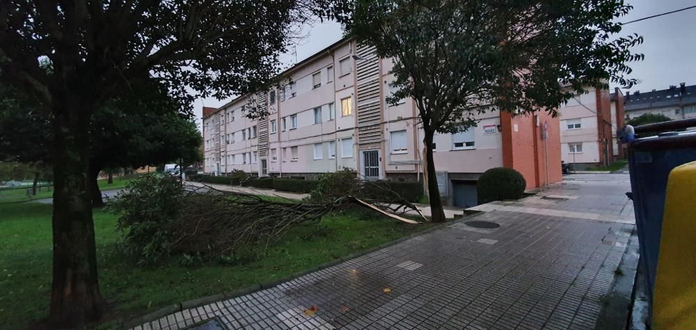 Daños por el temporal en Gijón.