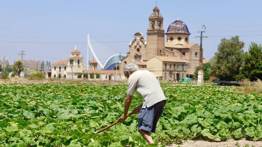 Per l&#039;Horta sobre la reforma de la ley de Huerta: &quot;Solo beneficiará a algunas empresas&quot;