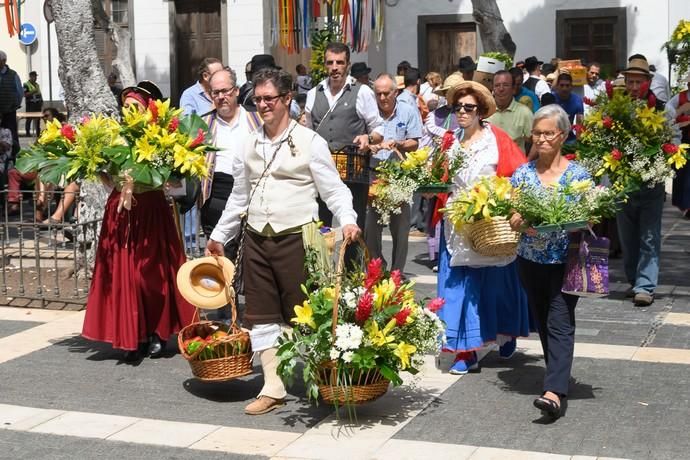 Romería del Rosario.Vegueta  | 29/09/2019 | Fotógrafo: Tony Hernández