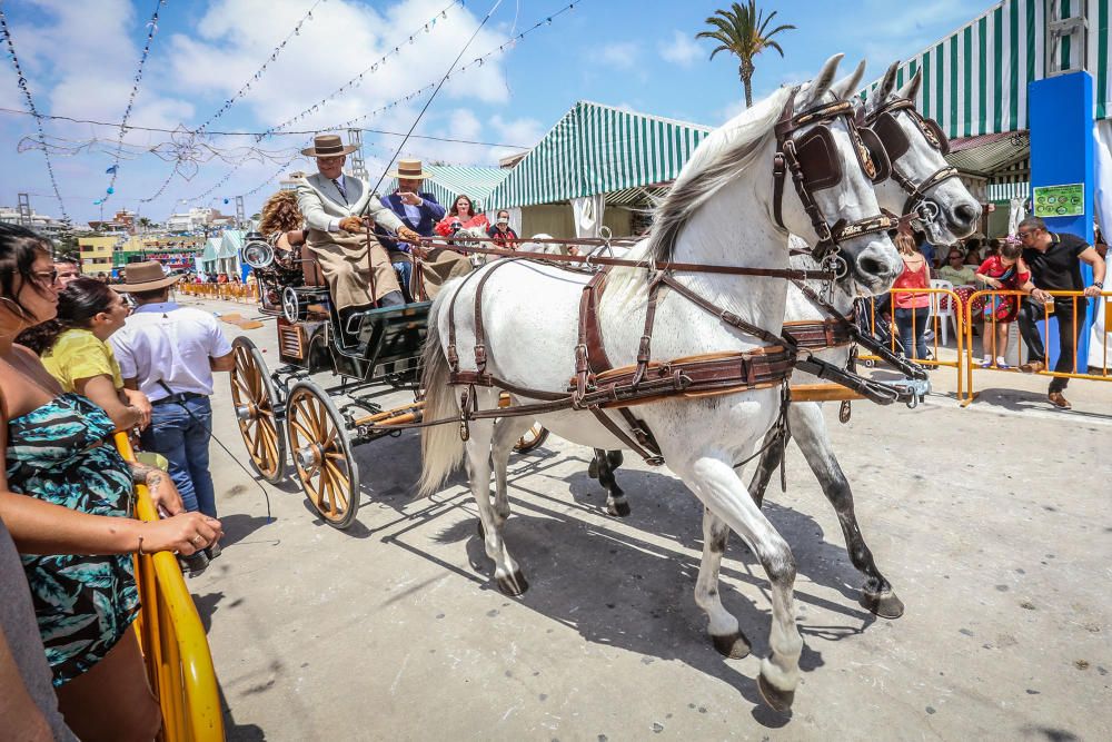 Feria de Sevillanas de Torrevieja 2018