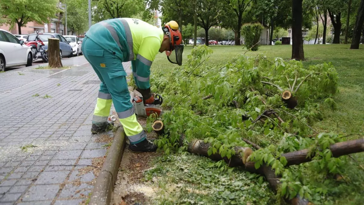 El paso de un temporal por Córdoba deja caídas de ramas y árboles en Ciudad Jardín, el Sector Sur y el barrio del Guadalquivir
