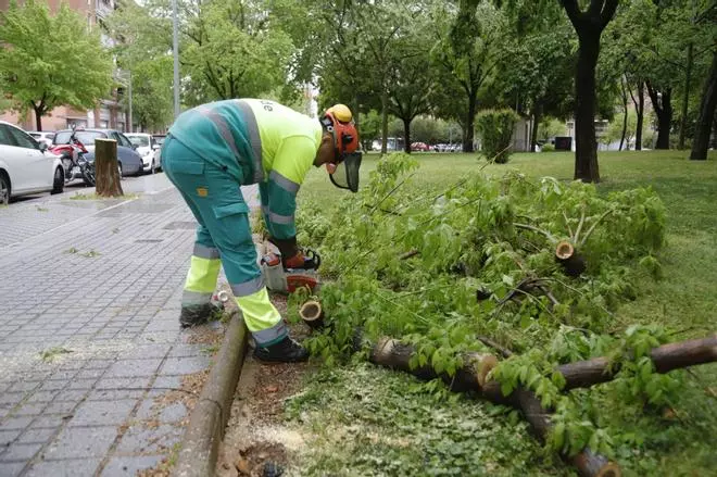 El temporal de lluvia y viento, en imágenes