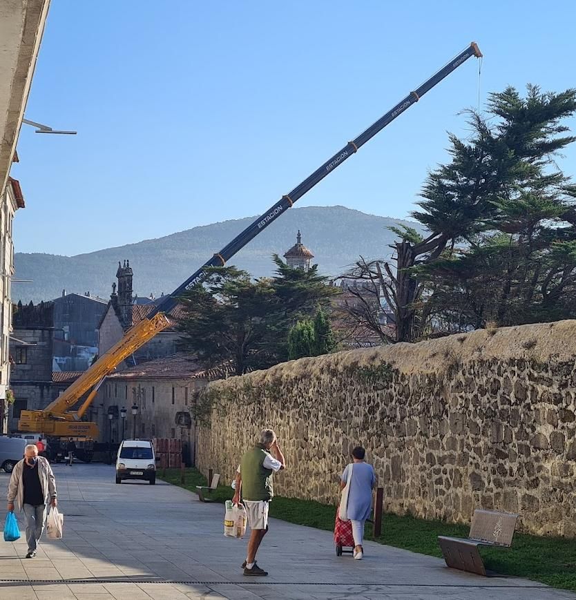 Los trabajos generan enorme expectación.