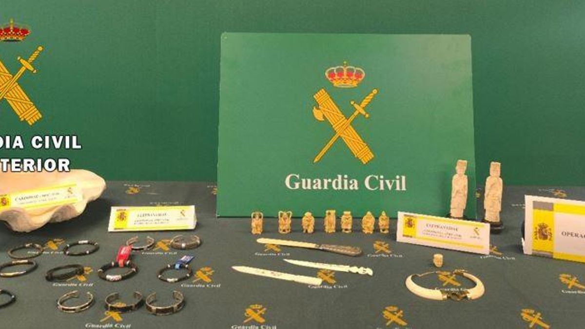 El material intervingut durant l'operació policial per la fauna en perill d'extinció.