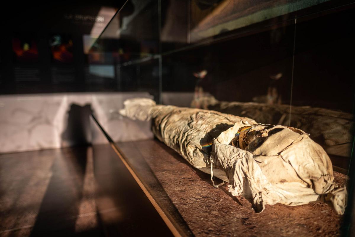 Exposición ‘Ciencia y Leyenda’, que se puede ver en el Centro de Visitantes de Teleférico del Teide