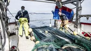 A bord de l’«Estrella del Sud», buscant la gamba de Palamós