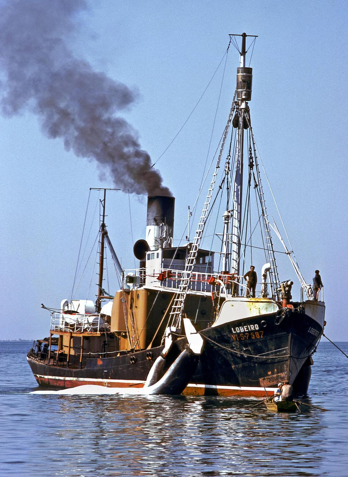 Ballenero «Lobeiro», 1980