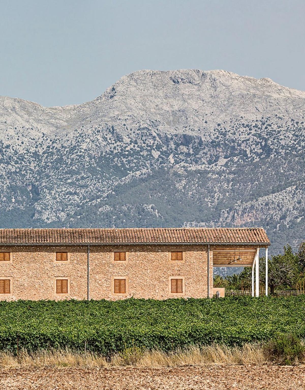 Malerisch: Die Bodega Son Prim in Inca.