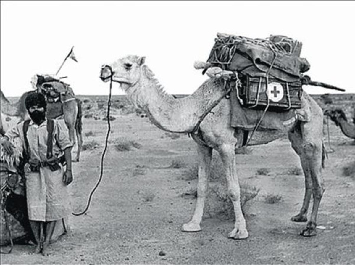 RECORDS DEL DESERT3 Diverses de les significatives fotografies que s’exposen a la mostra ’La mili al Sàhara’ i que ofereixen al públic les vivències dels civils a les colònies espanyoles a l’Àfrica occidental. RECORDS DEL DESERT3 Diverses de les significatives fotografies que s’exposen a la mostra ’La mili al Sàhara’ i que ofereixen al públic les vivències dels civils a les colònies espanyoles a l’Àfrica occidental.