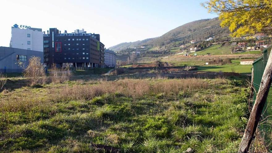 Terrenos próximos a Prado de la Vega por donde estuvo previsto llevar la Ronda Norte, con la falda del Naranco al fondo.