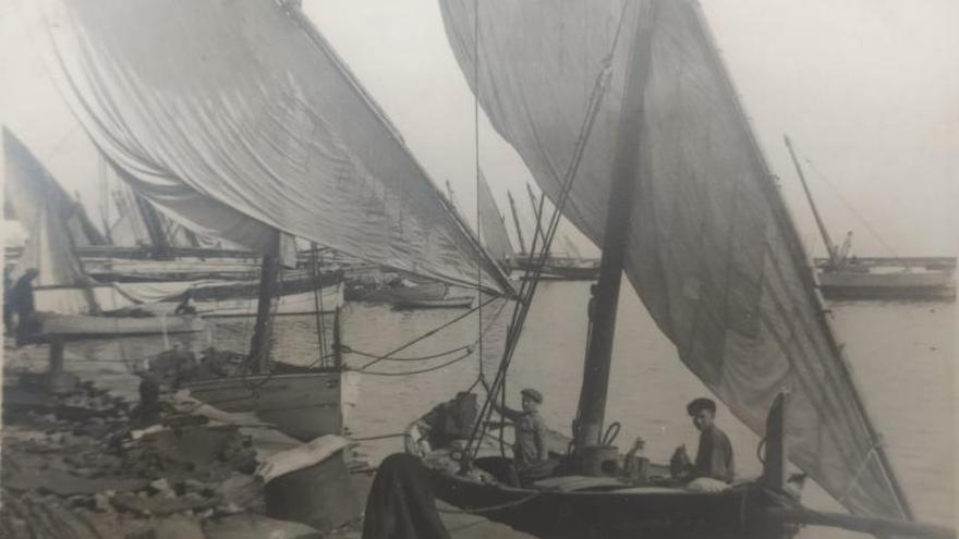 &quot;Llaüts&quot; amarrados en el puerto de Dénia.