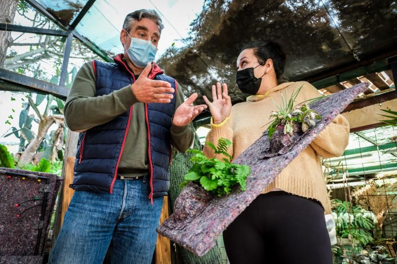 Ganador de Greenweekend Canarias, Pulmón Verde Canario
