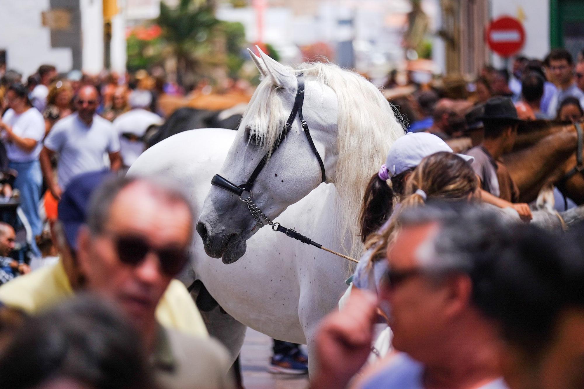 Fiesta de San Juan en Telde