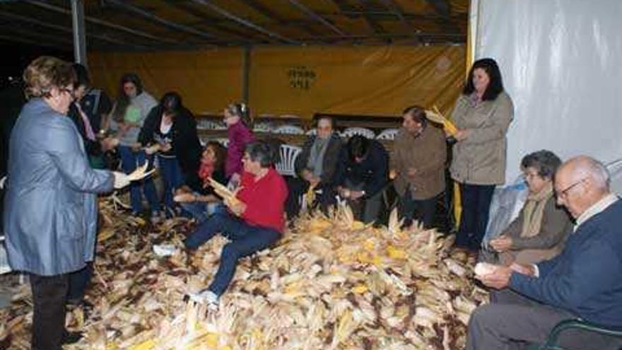 Los encargados inician el esfoyón del maíz.