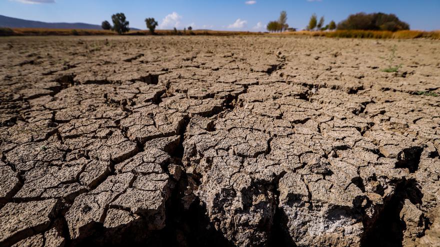 La Junta de Andalucía reclama fondos de la PAC que ayuden a combatir la sequía