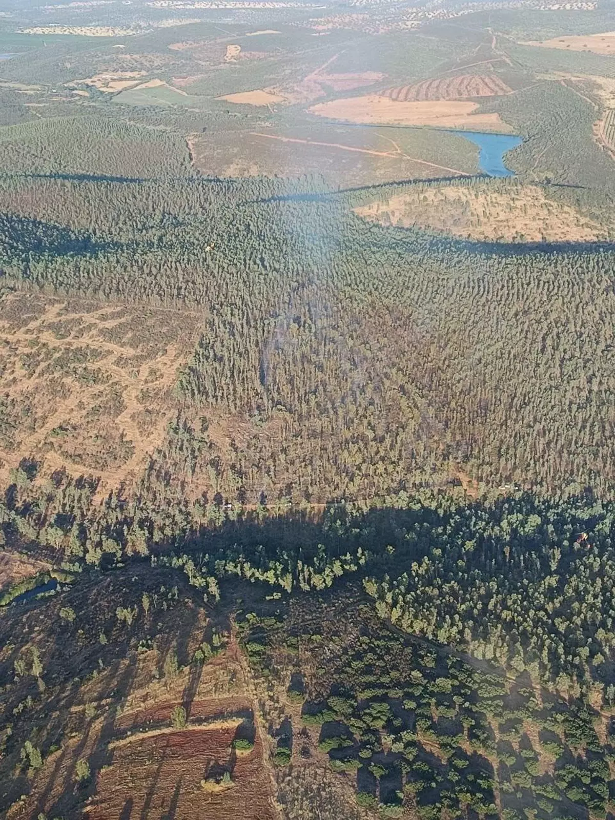 El Infoex da por estabilizado el incendio forestal localizado en Oliva de Mérida