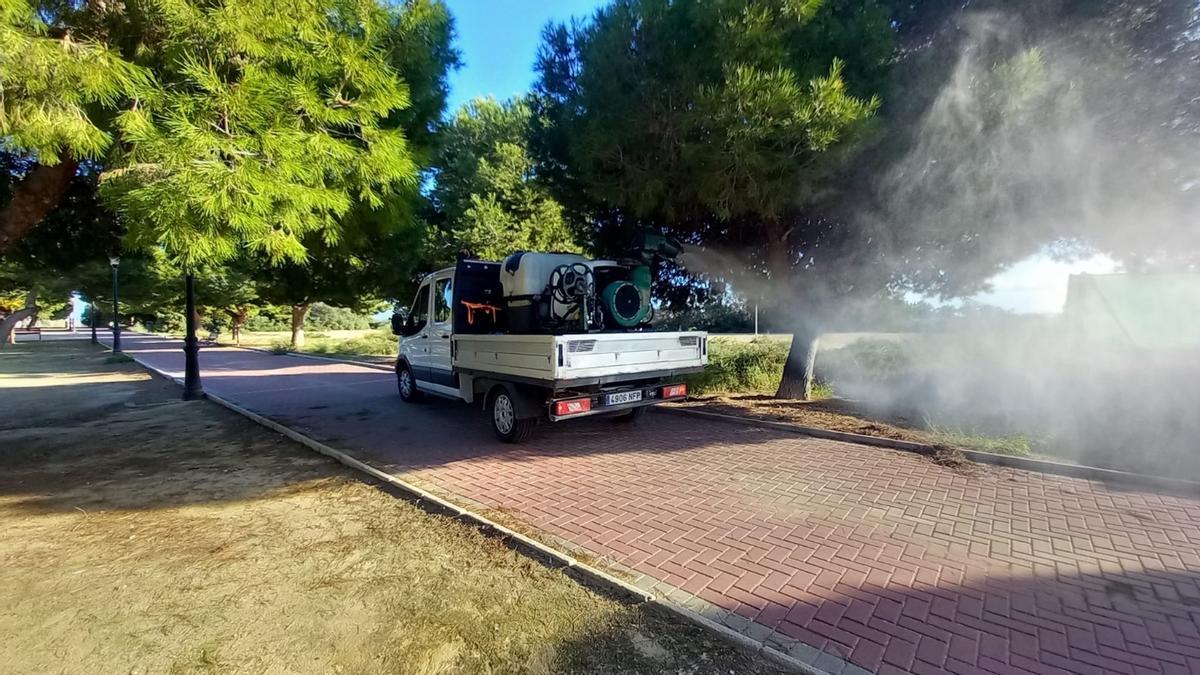 Actuaciones de control de plagas del Ayuntamiento de San Pedro del Pinatar tras la dana Alice.