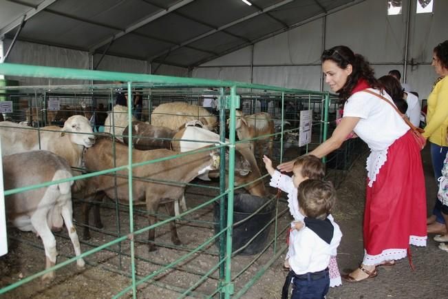 Muestra de Ganado de Uga