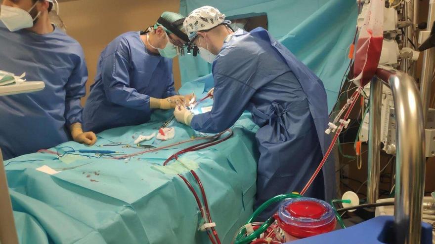 El equipo ECMO de la Arrixaca salva la vida de un bebé con una cardiopatía severa