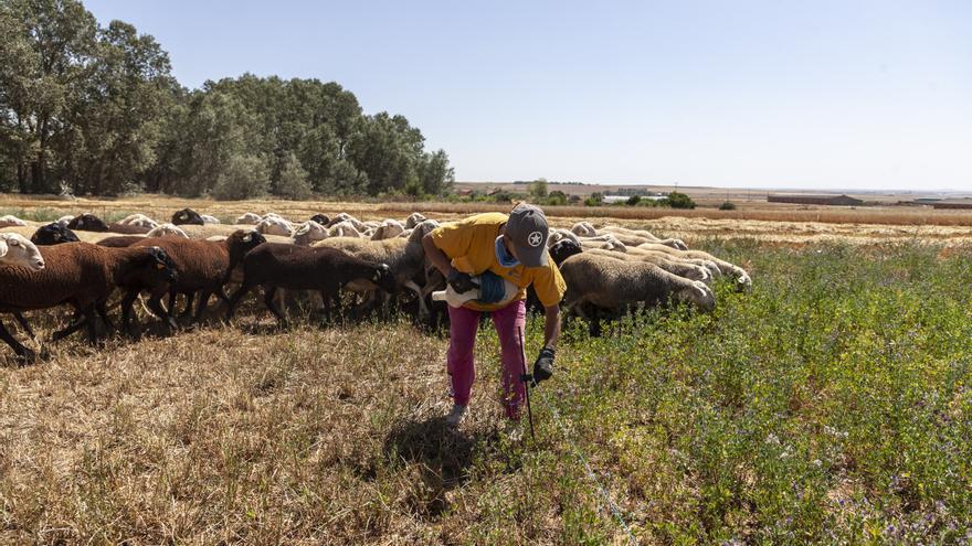 Salva el campo, salva el mundo